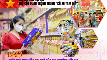 Bài 3: Phát huy hơn nữa vai trò của thị trường nội địa