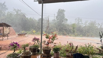 Cơn mưa đầu mùa giúp vùng hạn Kon Tum giải nhiệt