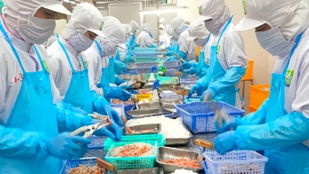 Trên 56% doanh nghiệp Nhật tính mở rộng kinh doanh tại Việt Nam