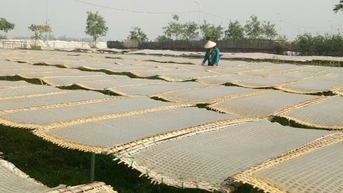 ជីរវ៉ាន់ស៊ុយ - ជាផលិតផលតែមួយគត់