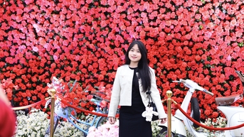 Rực rỡ Festival hoa Mê Linh - lễ hội hoa lớn nhất miền Bắc