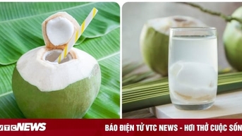 ផឹកទឹកដូងច្រើន ល្អចំពោះសុខភាពទេ?