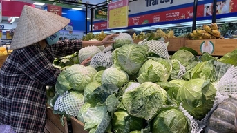 បន្លែរាប់រយតោនពីខាងត្បូងទៅខាងជើង ដើម្បីរក្សាស្ថិរភាពទីផ្សារ