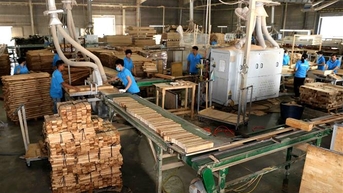 Kỳ vọng xuất khẩu lâm sản sẽ khởi sắc trong năm 2024