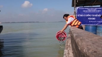 Vì sao UBND tỉnh Tây Ninh ban hành lệnh cấm đánh bắt cá tôm ở hồ Dầu Tiếng trong 30 ngày?