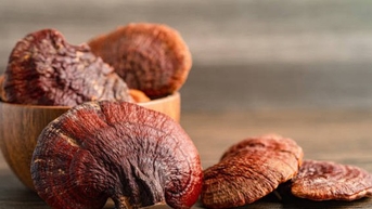 Bất ngờ với thực phẩm bệnh nhân ung thư được khuyên nên ăn
