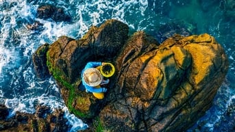Nhọc nhằn thu hoạch 'lộc biển' trên ghềnh đá bên sóng dữ