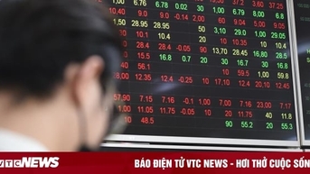 Lợi nhuận âm nhiều tỷ đồng, 2 công ty bị HoSE giữ nguyên diện cảnh báo