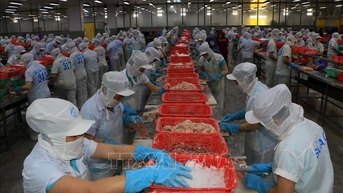 Ngoại thương Việt Nam năm 2023: Từng bước vượt qua khó khăn