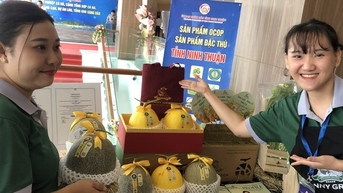 Bình Thuận và Ninh Thuận cùng tổ chức các Phiên chợ hàng Việt về miền núi, hải đảo