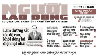 Ô tô Hàn thất thế trước đối thủ Nhật
