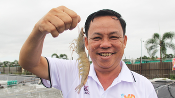 Nông dân đạt doanh thu 140 tỷ đồng một năm nhờ nuôi tôm