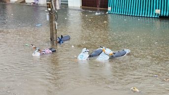 Mưa lớn ở TP Bảo Lộc, nhiều tuyến đường bị ngập sâu