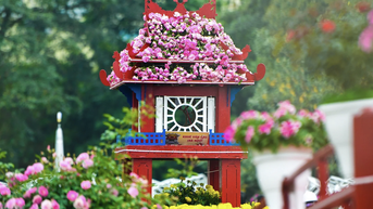 Festival - “Mê Linh rực rỡ sắc hoa’’