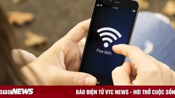 사기성 WiFi 핫스팟을 감지하고 개인 정보 유출을 방지하는 도구
