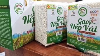 Phú Lương trù phú núi đồi: [Bài 2] Nhớ gạo nếp vải, nhớ chè Ôn Lương