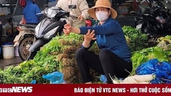 Mùng 4 Tết, giá rau xanh giảm 30% sau 2 ngày tăng cao