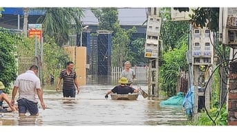 Cận cảnh khẩn cấp hộ đê, sơ tán dân tại các vùng báo động lũ cấp 3 ở Nam Định
