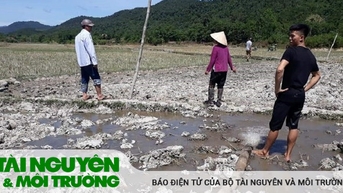 Nghệ An tích cực ứng phó với hạn hán, xâm nhập mặn