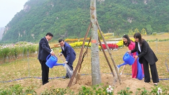 Chủ tịch UBND TP.Đà Nẵng phát động Tết trồng cây tại di tích quốc gia đặc biệt Ngũ Hành Sơn