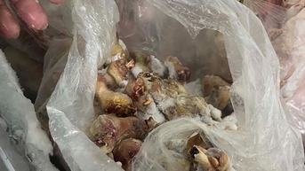 ភាពមិនប្រាកដប្រជាអំពីអាហារសម្រាប់សិស្សឡើងជិះ