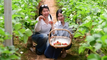 목적지 검색 트렌드에서 국내 관광이 '지배'