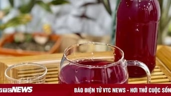 Uống nước tía tô có giảm cân?