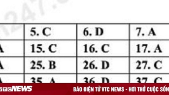 Gợi ý đáp án đề thi tiếng Anh vào lớp 10 mã đề 002