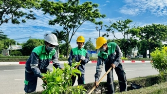 Một công ty công viên cây xanh chuẩn bị lộ trình thoái sạch vốn Nhà nước