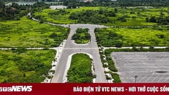 Sau 2 năm 'ngủ đông', đất nền có hồi phục trong 2024?