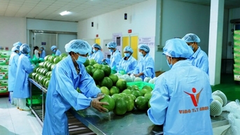 Xuất khẩu rau quả có thể vượt 6,5 tỉ USD trong năm 2024