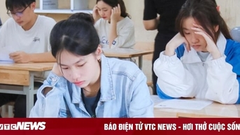 Top 3 ngành học dành cho người hướng nội, mức lương 50 triệu/tháng