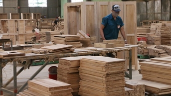 Một mặt hàng của ngành nông nghiệp nằm trong tốp 7 đạt giá trị xuất khẩu trên 5 tỷ USD, thị trường Mỹ chiếm 55%