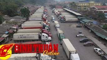Đảm bảo xuất khẩu nông sản qua biên giới được thuận lợi