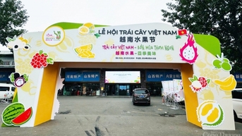 Ngày mai khai mạc Lễ hội trái cây Việt Nam tại Trung Quốc
