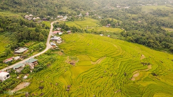 Thanh Hoa는 Pu Luong에 케이블카를 건설할 계획입니다.