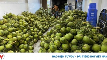 ដូងបៃតង និងក្រូចថ្លុងពណ៌បៃតងត្រូវបានផ្តល់ការការពារដោយប្រទេសកាណាដា។