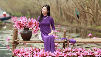 Mê mẩn những mùa hoa gây thương nhớ ở Hà Nội