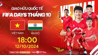 Lịch thi đấu Việt Nam