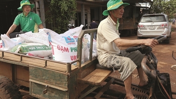 Nông dân và gánh nặng phân bón