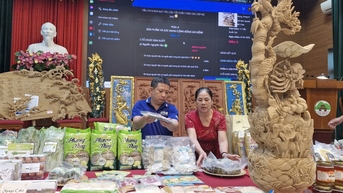 ស្រុក Quoc Oai វាយតំលៃ និងចាត់ថ្នាក់ផលិតផល OCOP ចំនួន ៤១