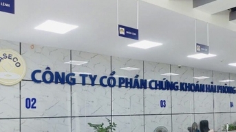 Biến đổi chủ tại công ty chứng khoán nhỏ, miếng bánh thị phần có được chia lại?