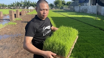 Anh nông dân trồng lúa trên cánh đồng thẳng cánh cò bay ở Thái kiểu gì mà nổi tiếng khắp vùng?