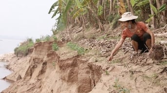 Bờ sông Đà sạt lở hàng trăm mét, nhiều hộ dân ở Phú Thọ đứng ngồi không yên