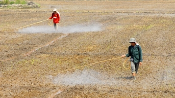 Xu hướng sử dụng thuốc bảo vệ thực vật sinh học tăng mạnh