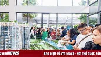 Môi giới thổi giá chung cư cao chót vót, người mua ngao ngán