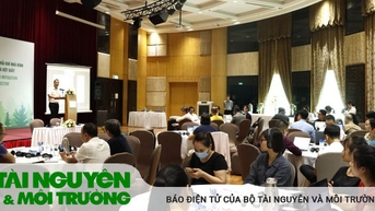 69 cơ sở sản xuất giấy và bột giấy phải  kiểm kê khí nhà kính