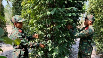 Tăng vùn vụt, đỉnh mới có được thiết lập?