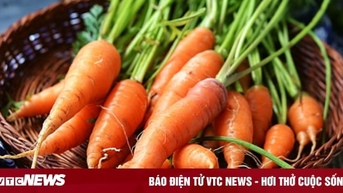 Lợi ích tuyệt vời của cà rốt với sức khỏe