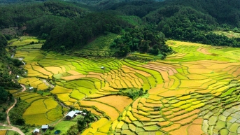 https://baogialai.com.vn/mua-vang-o-kon-plong-post241350.html